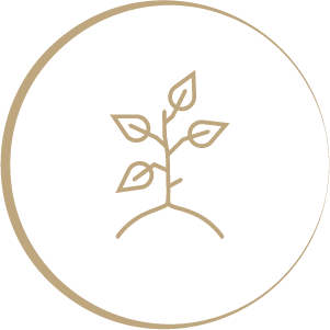 FLRS JB Pikto Baum 04 FLRS JB Pikto Baum 04